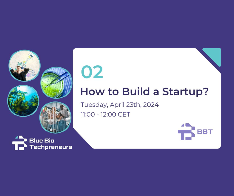 zaproszenie na webinarium How to build a startup?