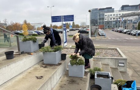 Pierwszy projekt w ramach Zielonego UG ukończony!