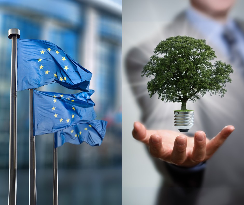 Dlaczego Unia Europejska weszła na drogę transformacji energetycznej? [SDG Think Tank]