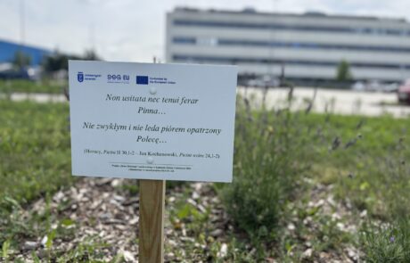 Skwer Horacego Skwer Horacego