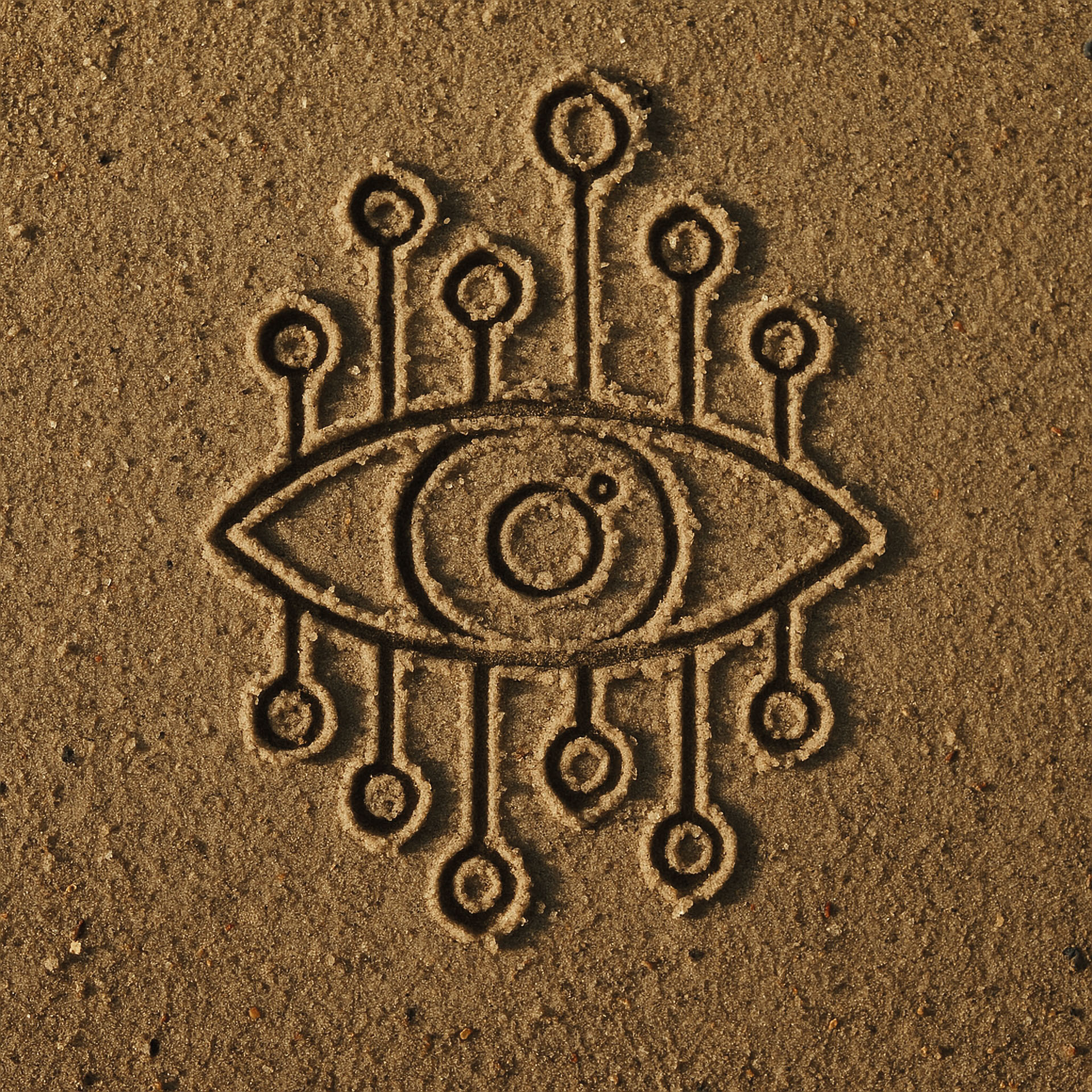 More-than-Human Studies Lab