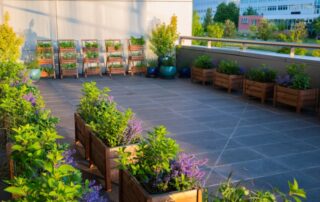 Ogród Społeczny Zielona Przystań w BUG