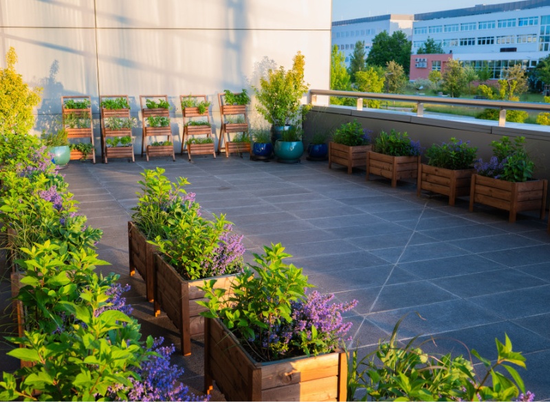 Ogród Społeczny Zielona Przystań w BUG