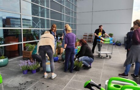 Ogród Społeczny Zielona Przystań w BUG