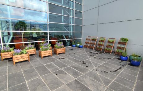 Ogród Społeczny Zielona Przystań w BUG