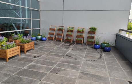 Ogród Społeczny Zielona Przystań w BUG