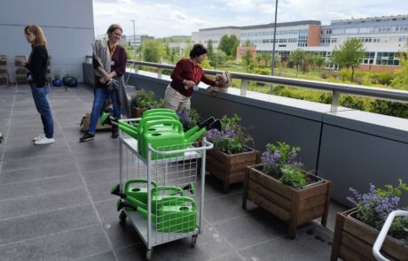 Ogród Społeczny Zielona Przystań w BUG