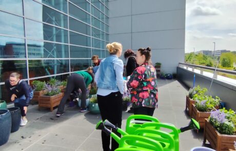 Ogród Społeczny Zielona Przystań w BUG