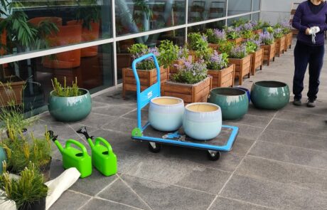 Ogród Społeczny Zielona Przystań w BUG