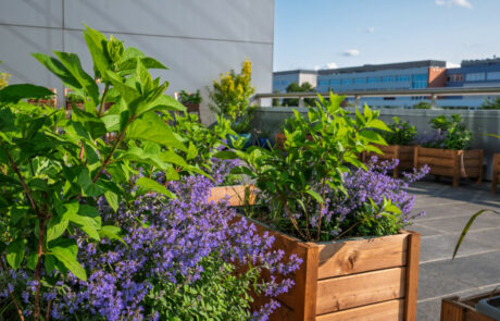 Ogród Społeczny Zielona Przystań w BUG