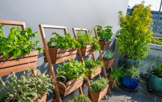 Ogród Społeczny Zielona Przystań w BUG