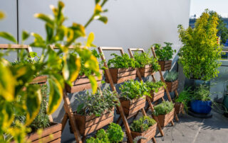 Ogród Społeczny Zielona Przystań w BUG