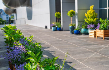 Ogród Społeczny Zielona Przystań w BUG