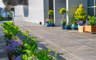 Ogród Społeczny Zielona Przystań w BUG