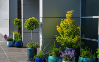 Ogród Społeczny Zielona Przystań w BUG