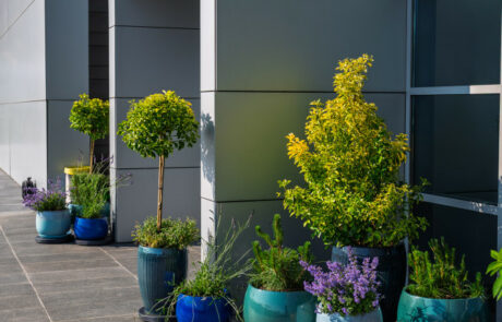 Ogród Społeczny Zielona Przystań w BUG