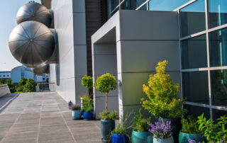 Ogród Społeczny Zielona Przystań w BUG