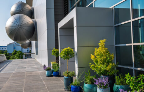 Ogród Społeczny Zielona Przystań w BUG