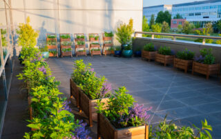 Ogród Społeczny Zielona Przystań w BUG