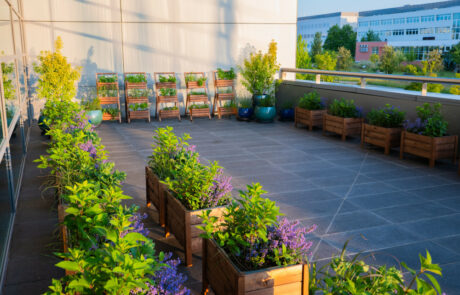 Ogród Społeczny Zielona Przystań w BUG