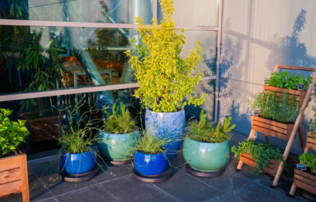 Ogród Społeczny Zielona Przystań w BUG