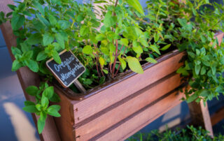 Ogród Społeczny Zielona Przystań w BUG