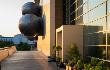 Ogród Społeczny Zielona Przystań w BUG