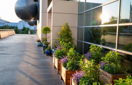 Ogród Społeczny Zielona Przystań w BUG