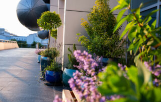 Ogród Społeczny Zielona Przystań w BUG