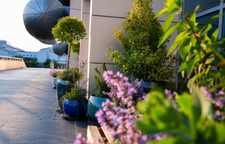 Ogród Społeczny Zielona Przystań w BUG