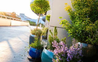 Ogród Społeczny Zielona Przystań w BUG