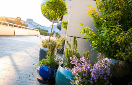 Ogród Społeczny Zielona Przystań w BUG