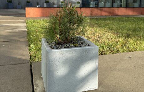 Zielone stopnie przy Rektoracie oraz doposażenie „kieszonki” na neofilologii