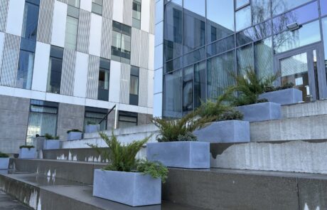 Zielone stopnie przy Rektoracie oraz doposażenie „kieszonki” na neofilologii