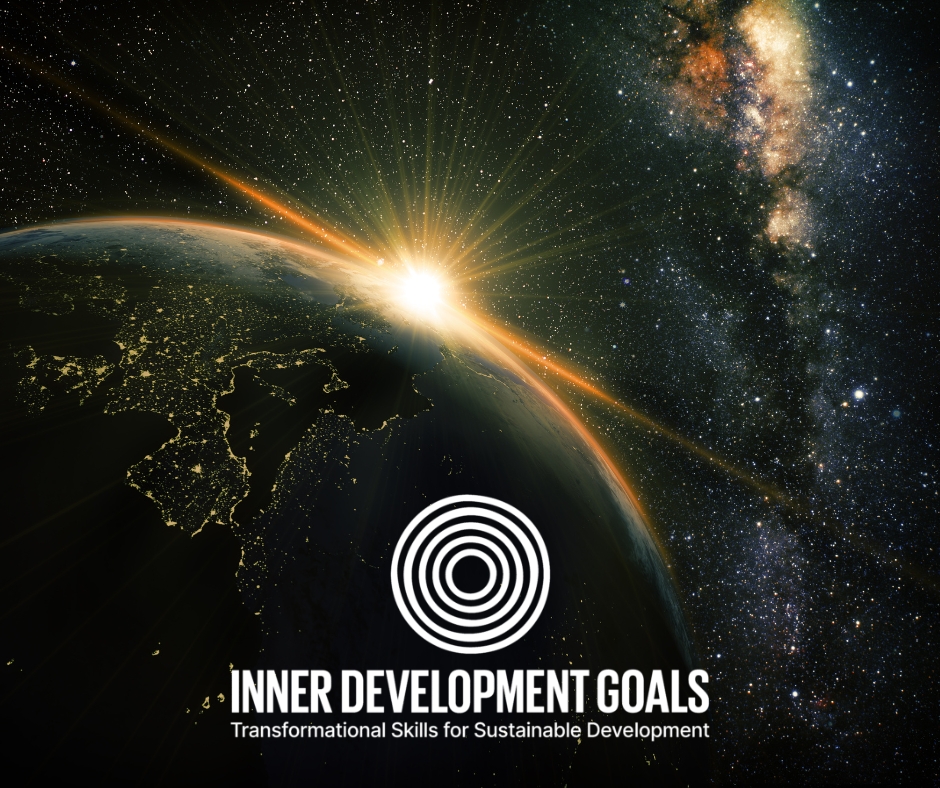 W kierunku bardziej świadomych i odpornych społeczności akademickich: Inner Development Goals (IDG) Network & Hub