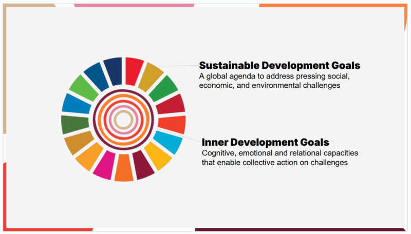 W kierunku bardziej świadomych i odpornych społeczności akademickich: Inner Development Goals (IDG) Network & Hub 