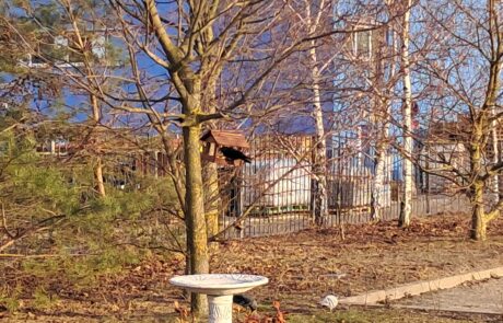 Skwer Horacego Skwer Horacego