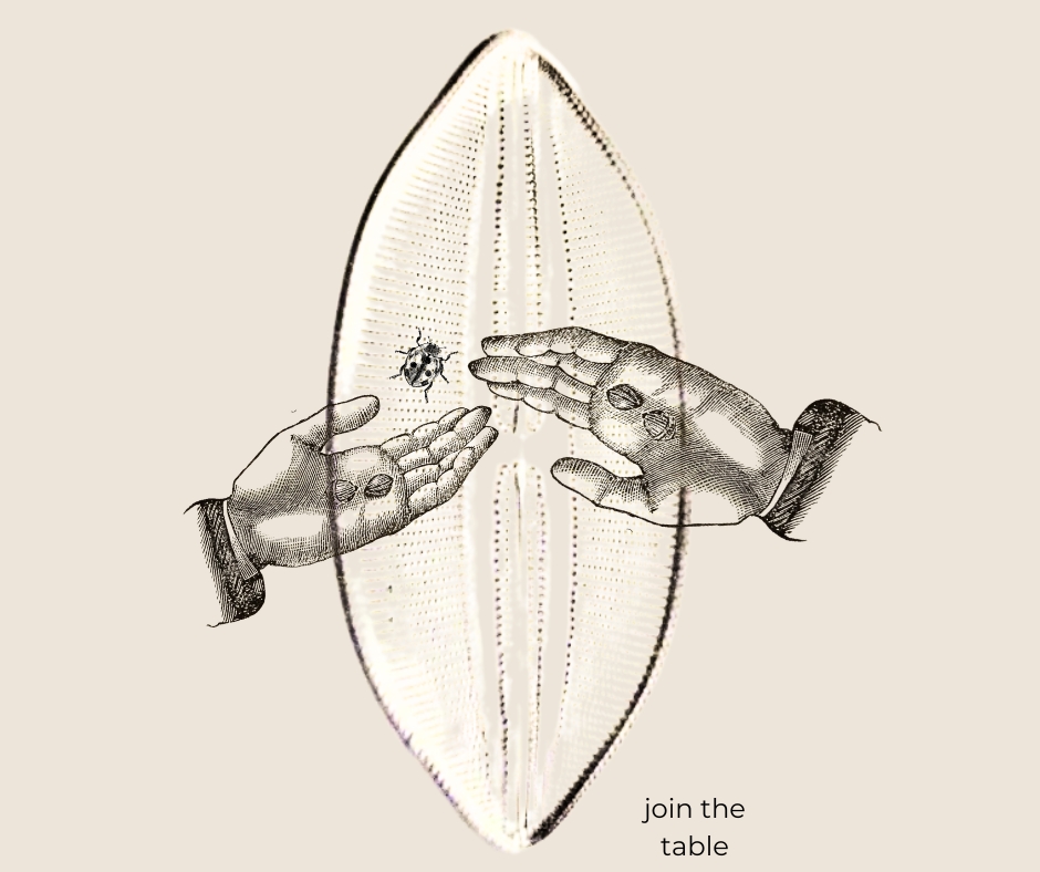 Więcej–niż–ludzkie solidarności | Rozmowy w formule długiego stołu - zapraszamy 31 marca