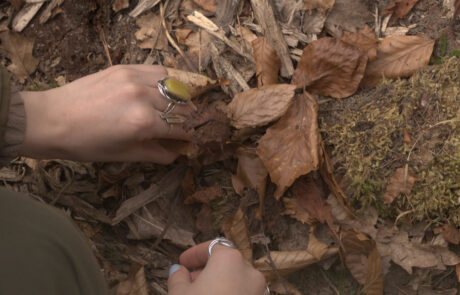 Ekologie tańca – gleba, chwasty i śmieci, czyli spotkanie z Jill Sifah Sigman