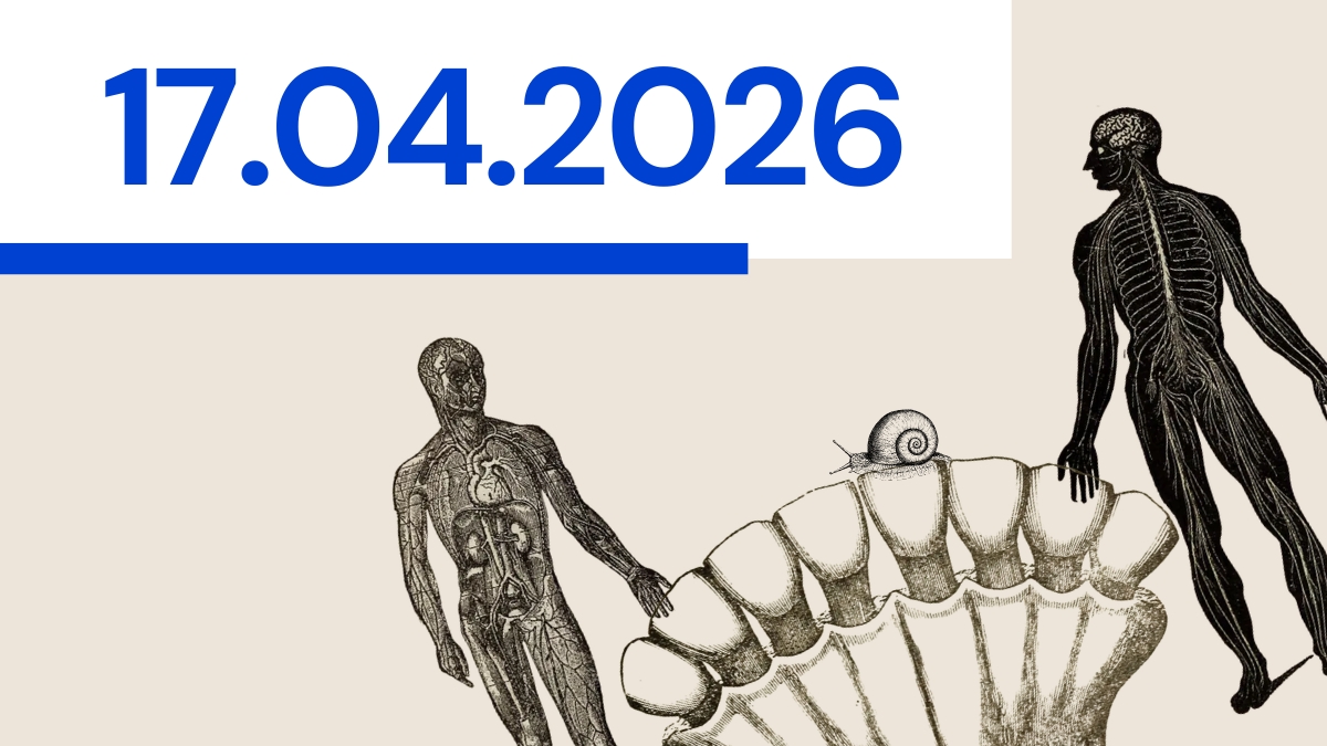 Więcej–niż–ludzkie solidarności. Zapraszamy do stołu z prof. Justyna Stępień