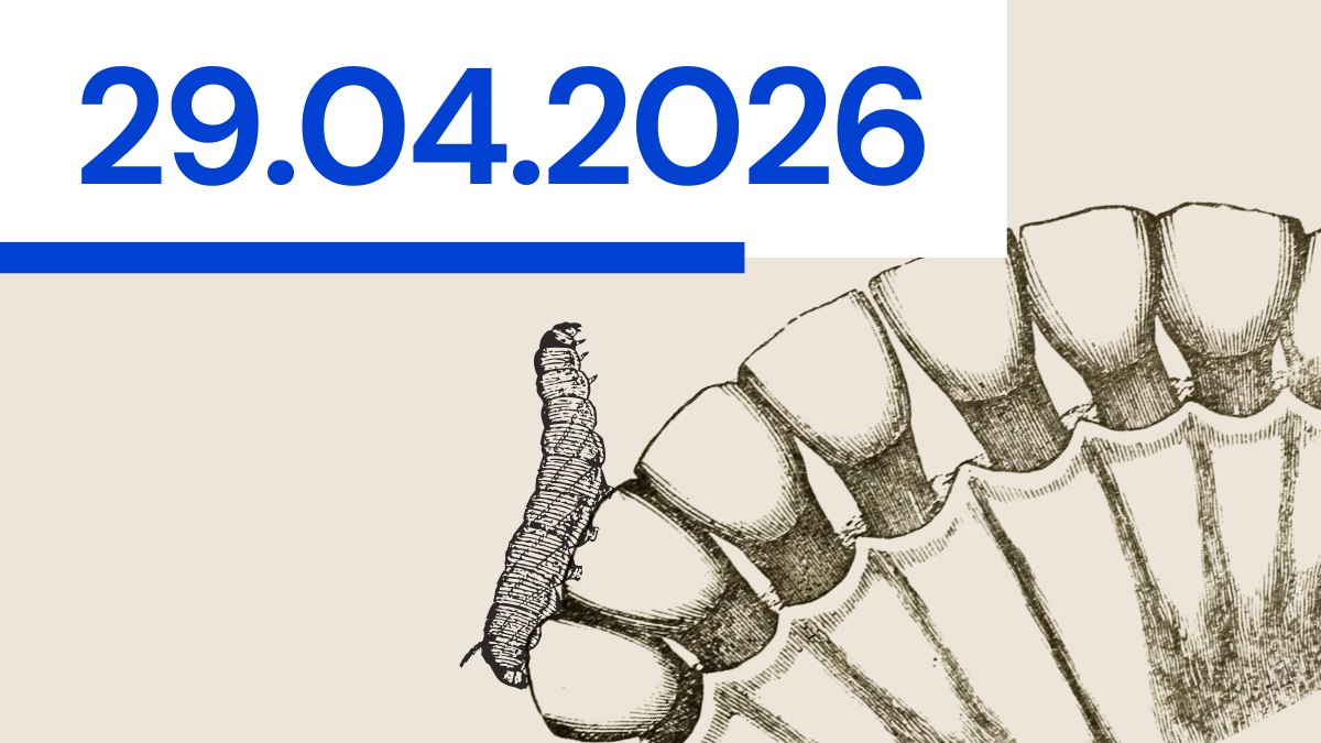 Więcej–niż–ludzkie solidarności