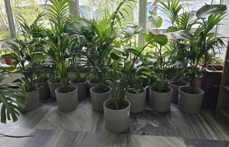 Zielone strefy pracy i relaksu w czterech budynkach Uniwersytetu Gdańskiego Zielone strefy pracy i relaksu w czterech budynkach Uniwersytetu Gdańskiego