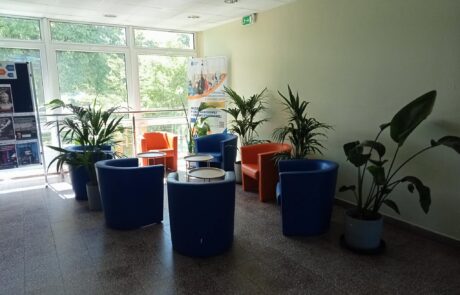 Zielone strefy pracy i relaksu w czterech budynkach Uniwersytetu Gdańskiego