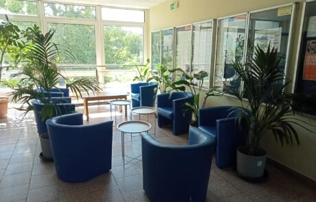 Zielone strefy pracy i relaksu w czterech budynkach Uniwersytetu Gdańskiego