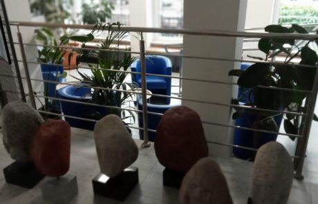 Zielone strefy pracy i relaksu w czterech budynkach Uniwersytetu Gdańskiego