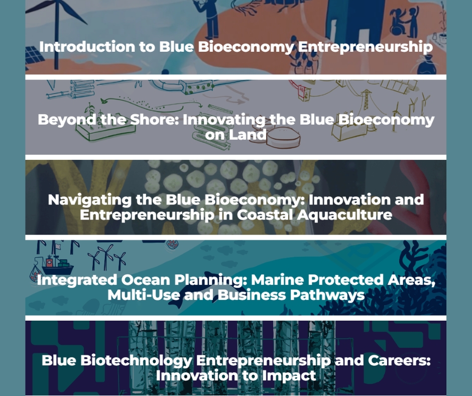 Nowe kompetencje dla błękitnej gospodarki - podsumowanie projektu BlueBioTechpreneurs